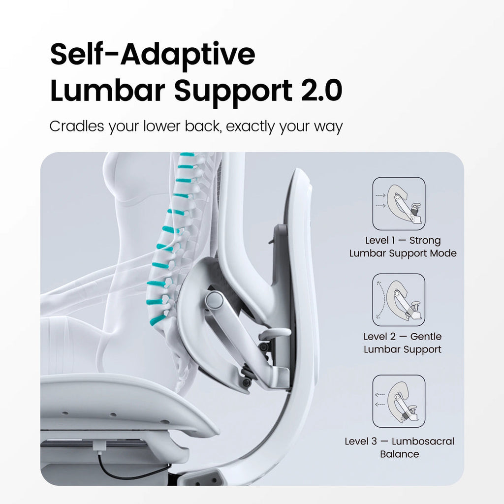 Adaptive Ergonomic Chair